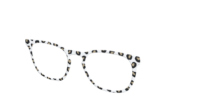 The Classic Cheetah