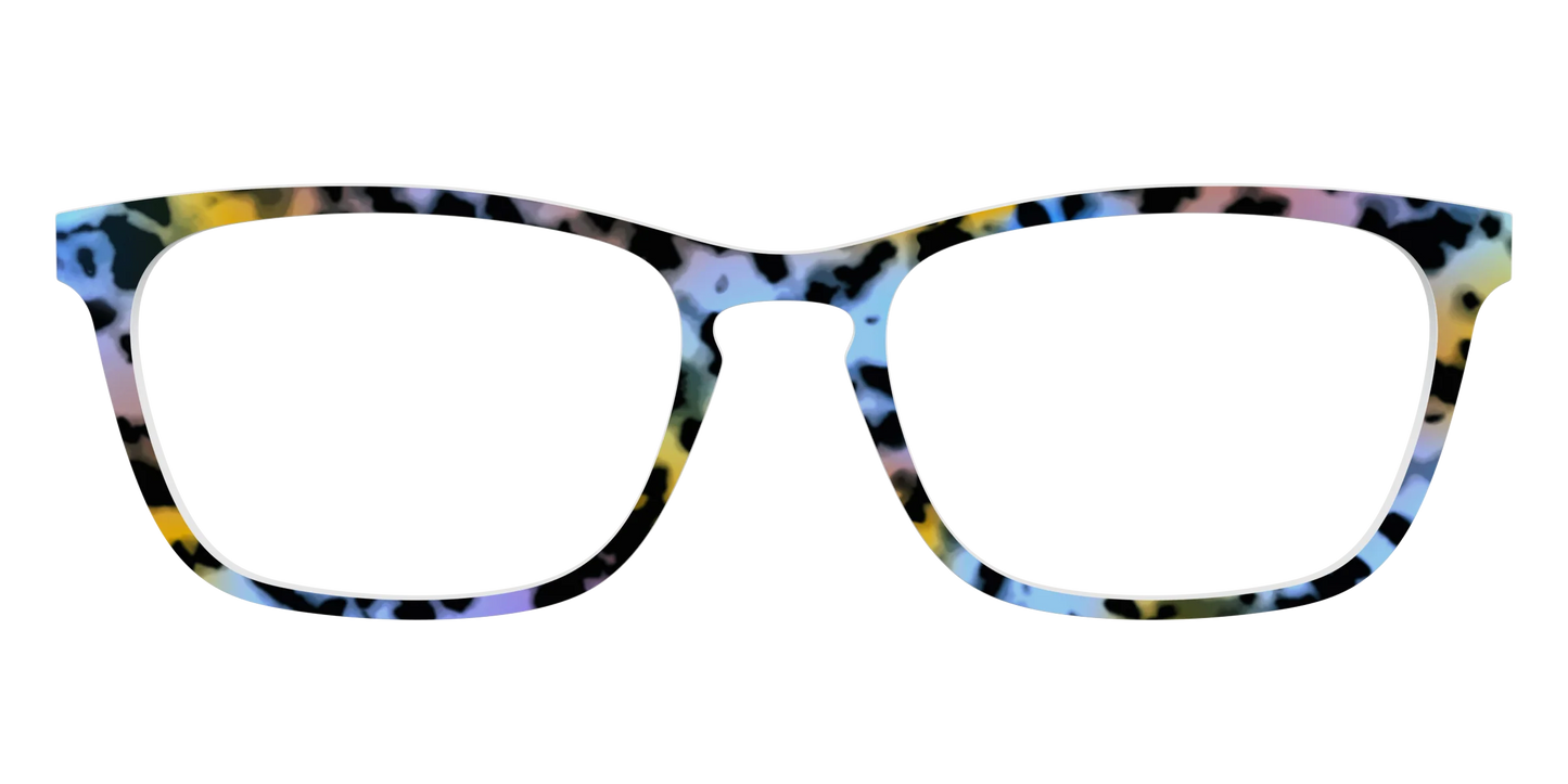 The Positano Tortoise