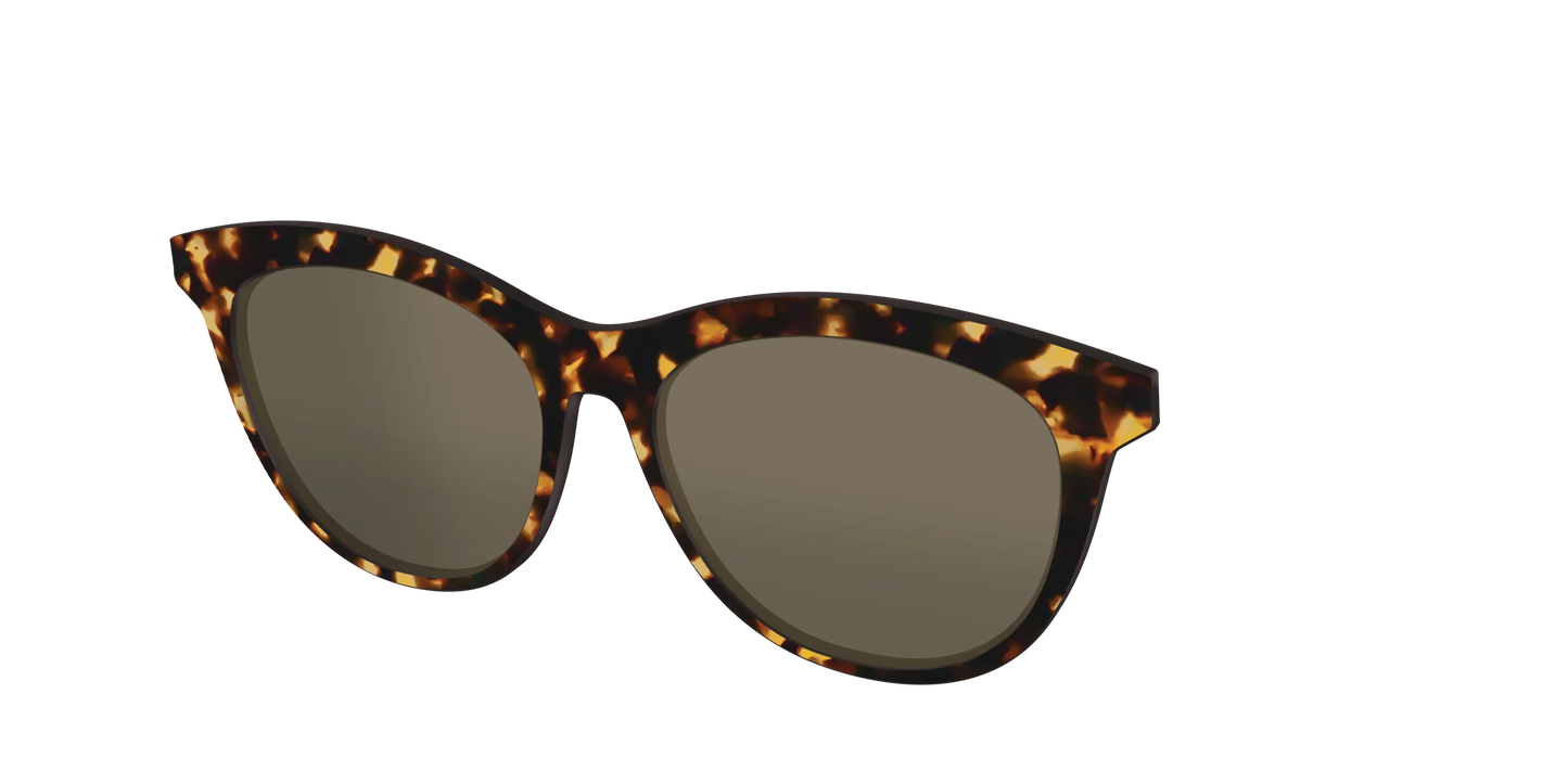 The Non-Polarized Tortoise Sun Top