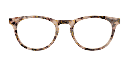 The Almond Tortoise with Gold Streaks