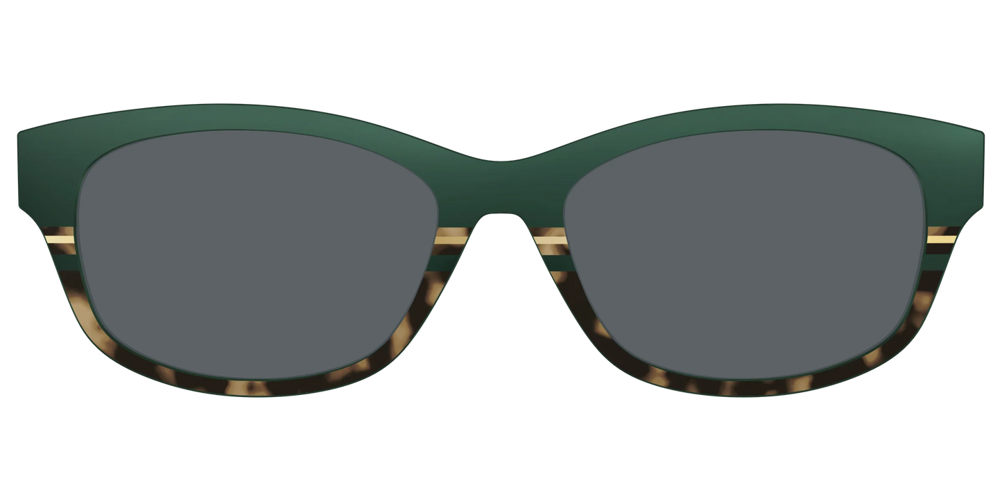 The Polarized Spruce Tortoise Sun Top