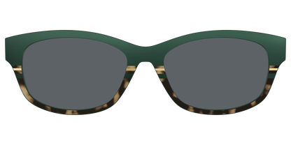 The Polarized Spruce Tortoise Sun Top