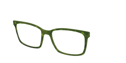 The Olive Geo
