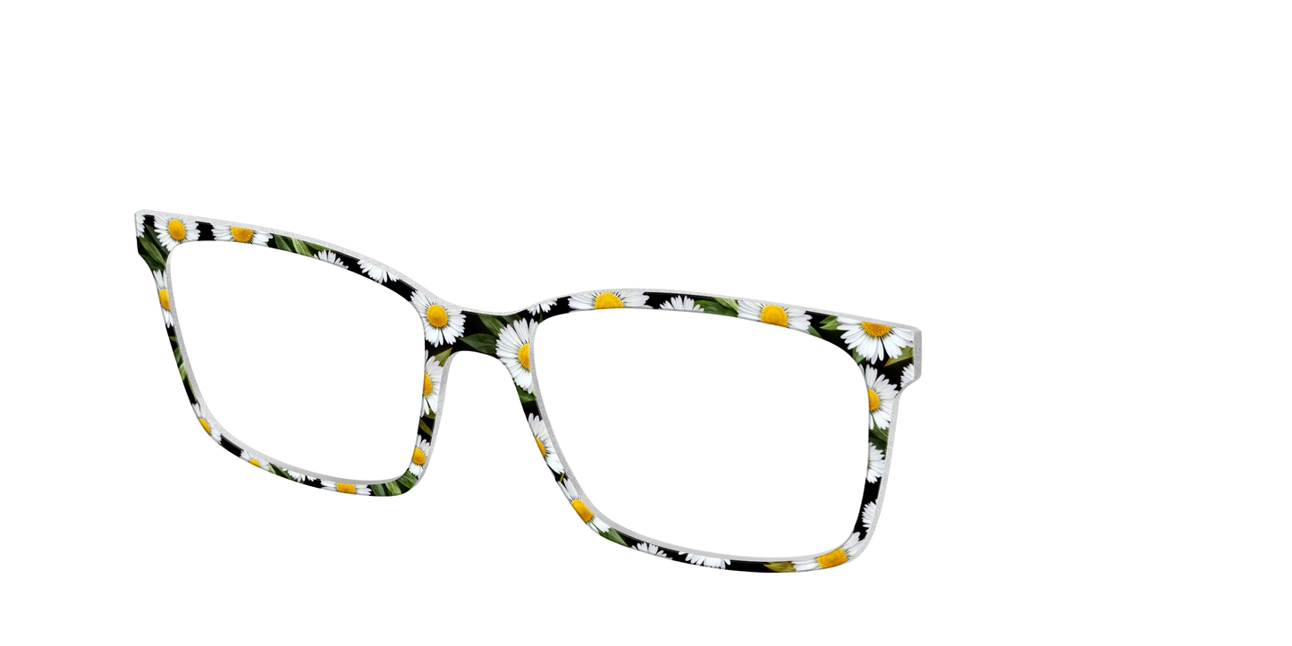 The Delicate Daisies
