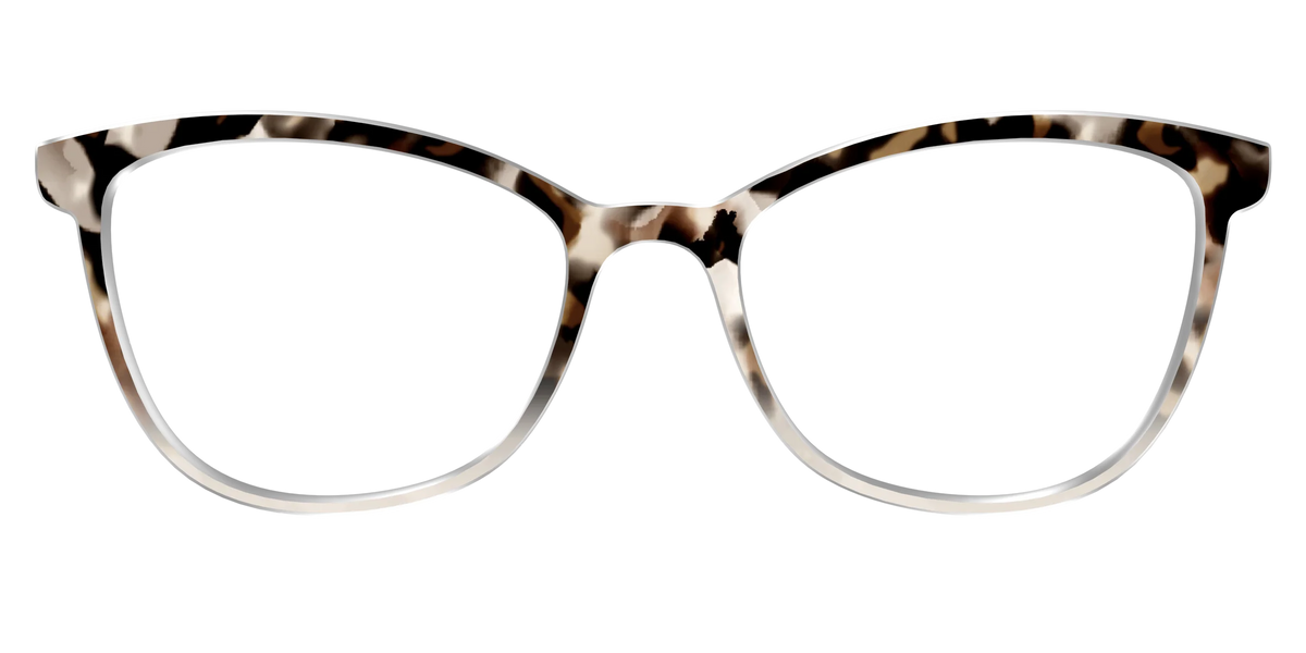 The Vanilla Latte Tortoise