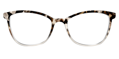 The Vanilla Latte Tortoise