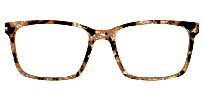 The Caramel Pearl Tortoise