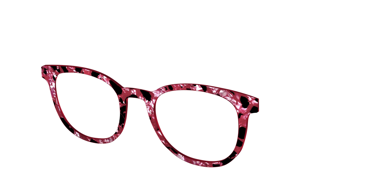 The Raspberry Pearl Tortoise