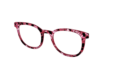 The Raspberry Pearl Tortoise