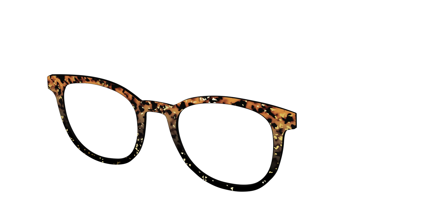 The Rustic Gold Leaf Tortoise