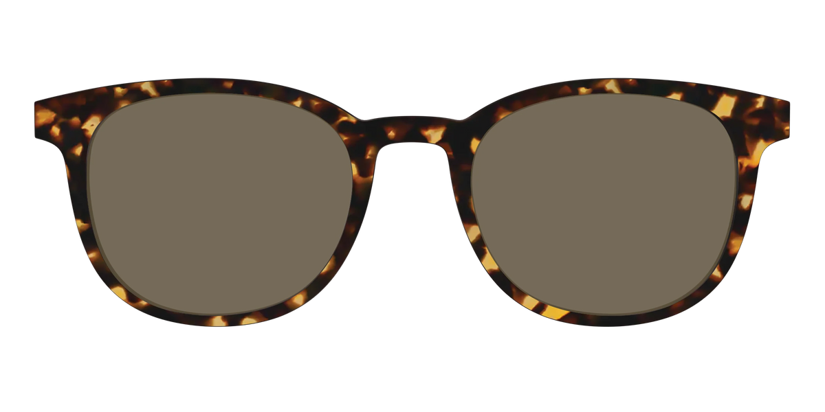 The Non-Polarized Tortoise Sun Top