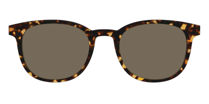 The Non-Polarized Tortoise Sun Top