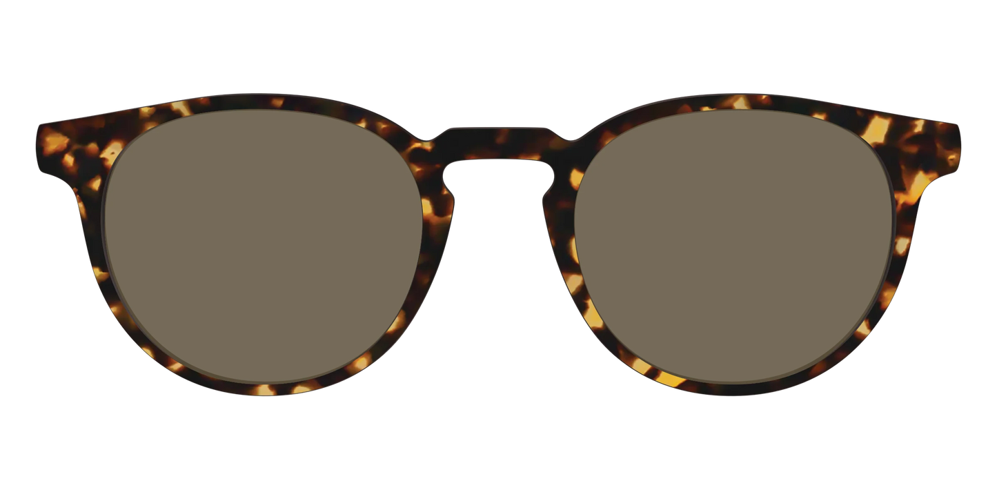 The Non-Polarized Tortoise Sun Top