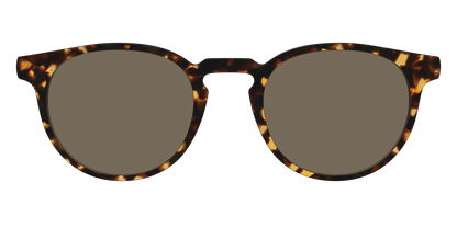 The Non-Polarized Tortoise Sun Top