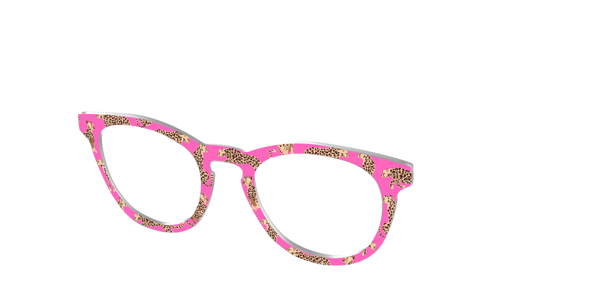 The Hot Pink Cheetahs