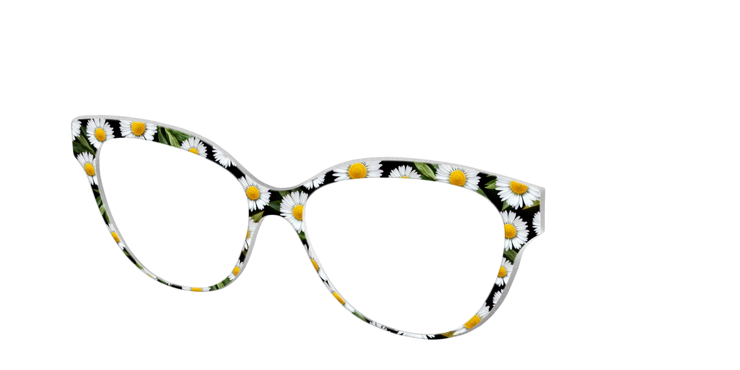 The Delicate Daisies