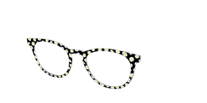 The Black Daisy