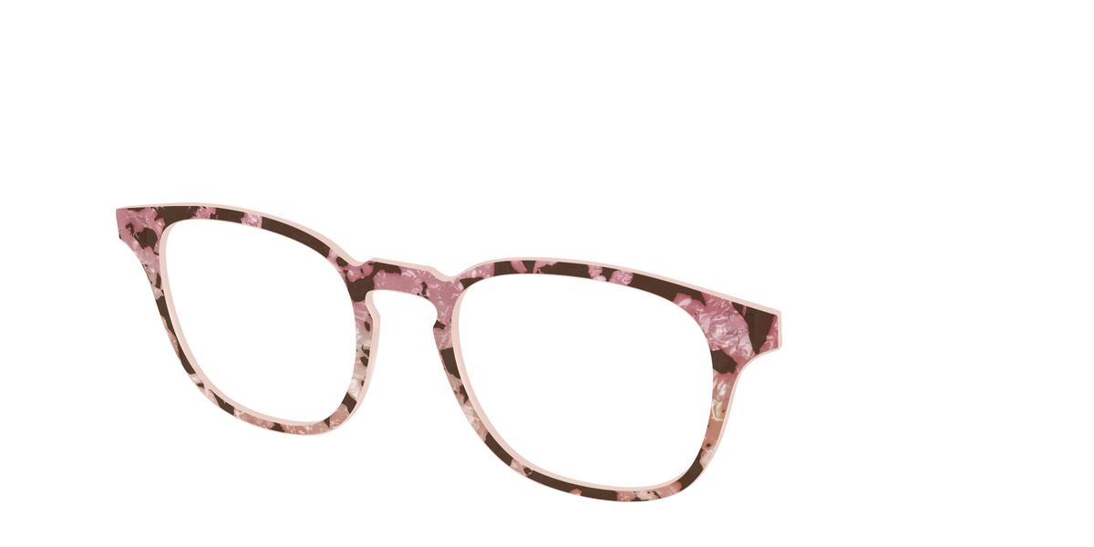 The Pale Peach Pearl Tortoise