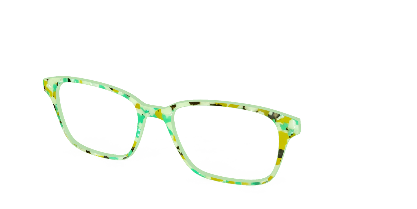 The Matcha Pearl Tortoise
