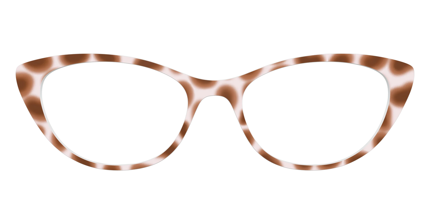 The Caffé Tortoise