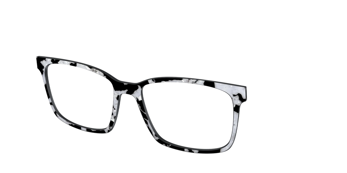 The Black & White Pearl Tortoise