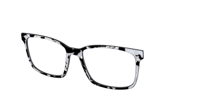 The Black & White Pearl Tortoise