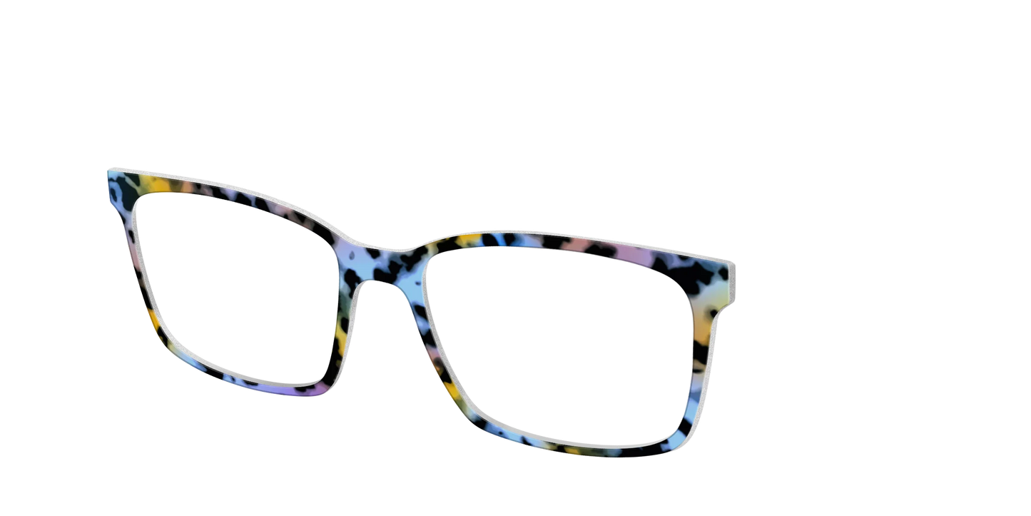 The Positano Tortoise