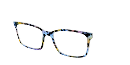 The Positano Tortoise