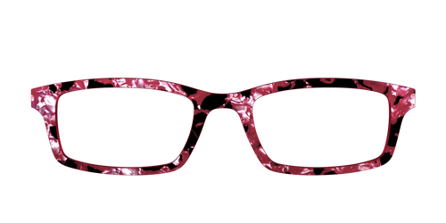 The Raspberry Pearl Tortoise
