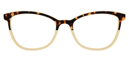 The Amber Tortoise Crystal Split