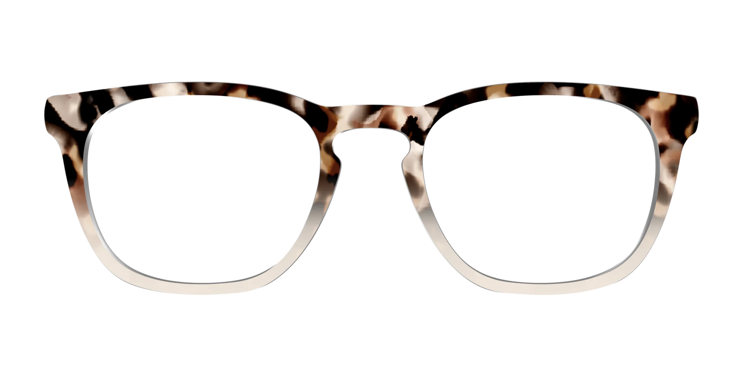 The Vanilla Latte Tortoise