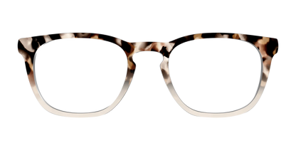 The Vanilla Latte Tortoise