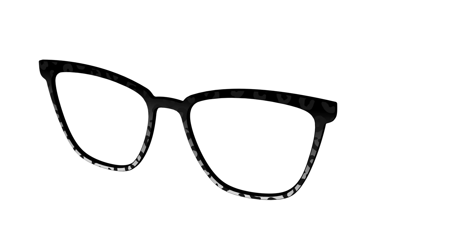 The Black Cheetah