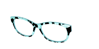 The Robin's Egg Pearl Tortoise
