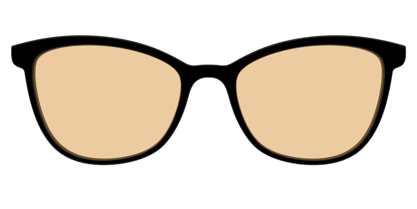 The Black With Umber Brown Lens