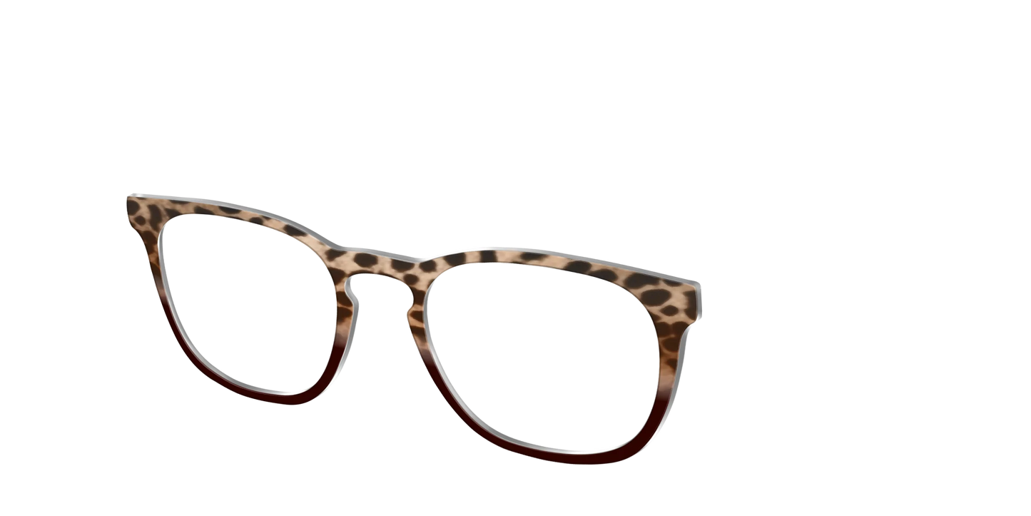 The Jungle Cat Tortoise