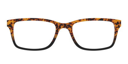 The Amber Tort