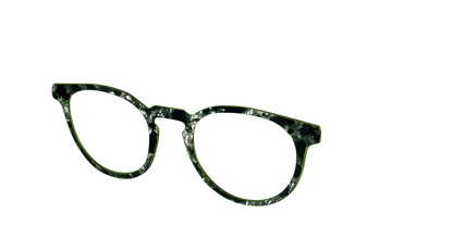 The Olive Pearl Tortoise