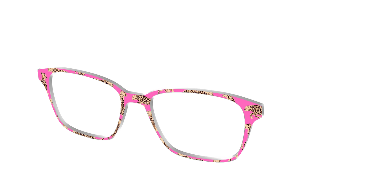 The Hot Pink Cheetahs