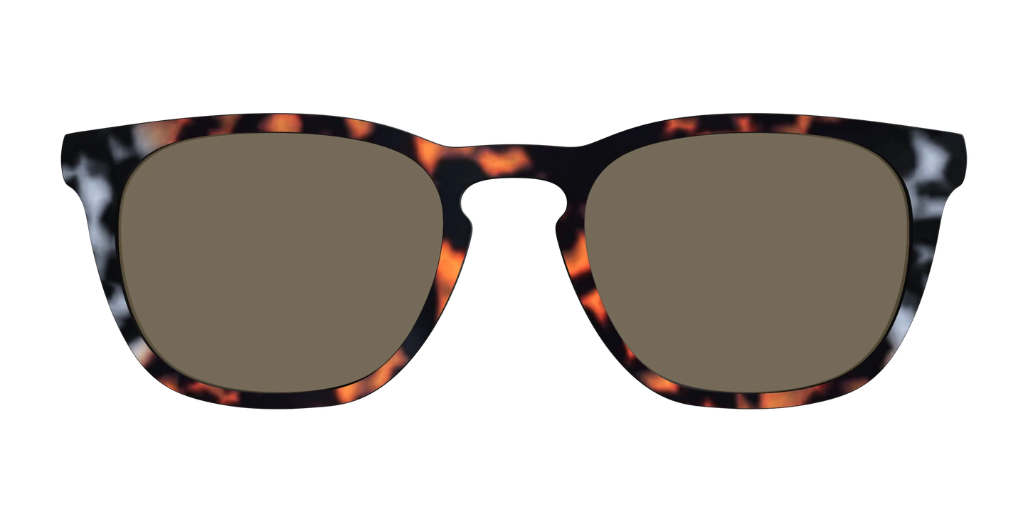The Polarized Gray & Amber Tortoise Sun Top