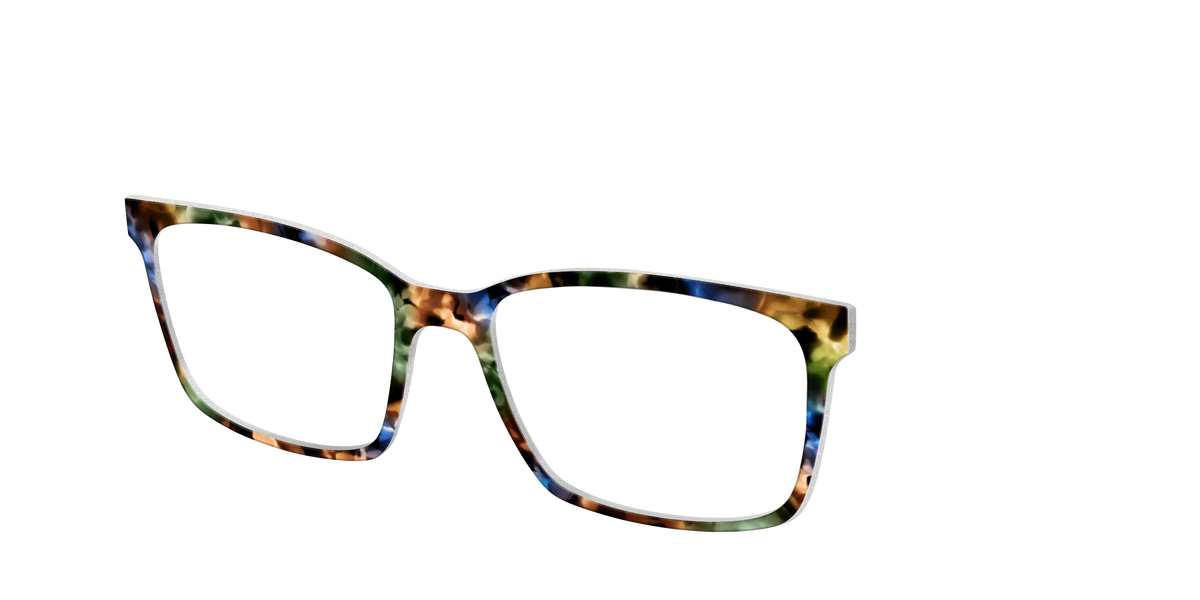 The Hearthside Tortoise