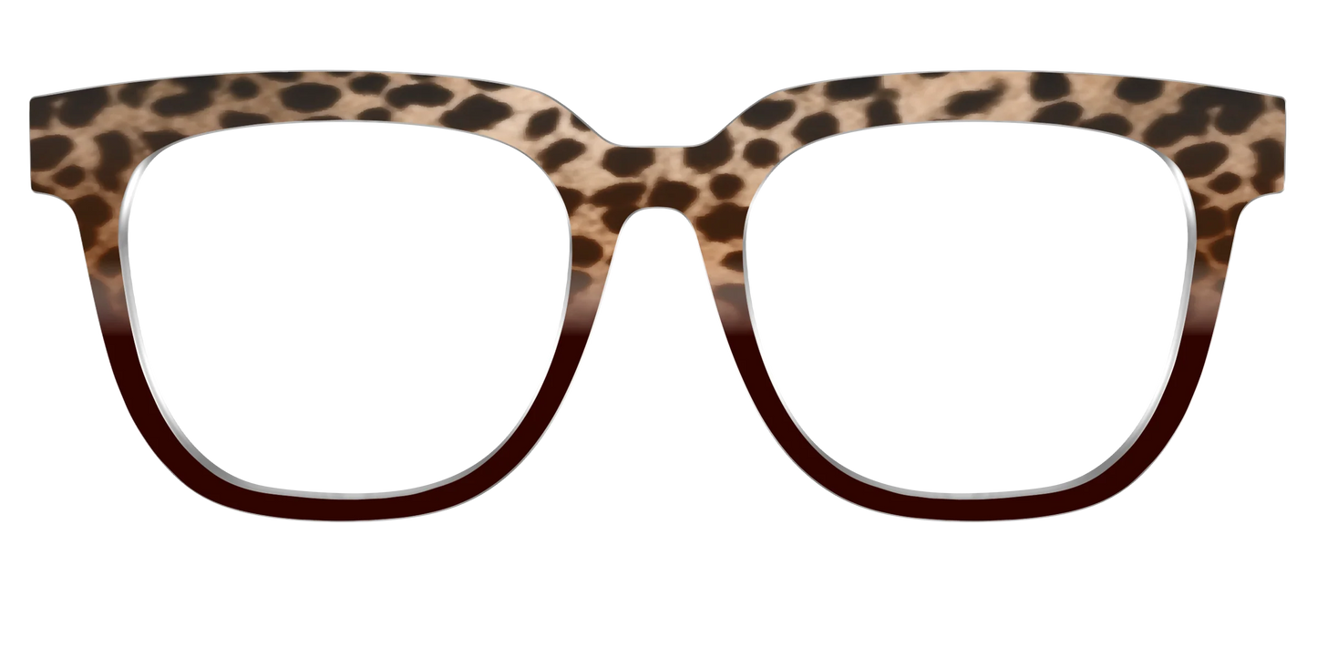 The Jungle Cat Tortoise