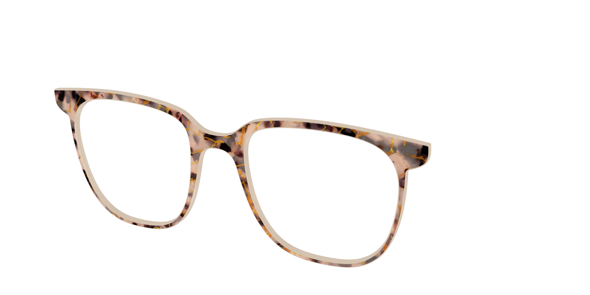 The Almond Tortoise with Gold Streaks