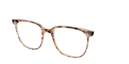 The Almond Tortoise with Gold Streaks