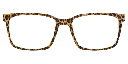 The Cheetah Spots
