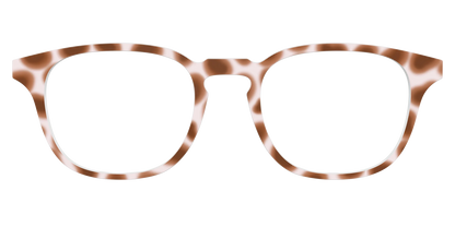 The Caffé Tortoise