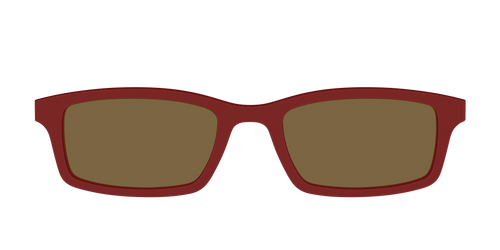 The Polarized Burgundy Sun Top