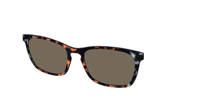 The Polarized Gray & Amber Tortoise Sun Top