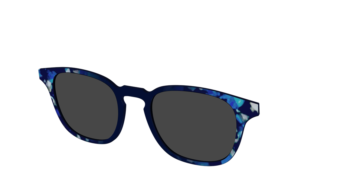 The Polarized Indigo Tortoise Sun Top