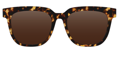 The Polarized Tortoise Sun Top